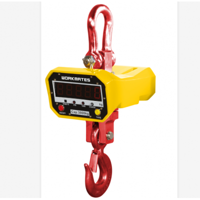 OCS series of open electronic hook scale