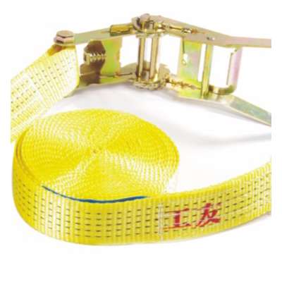 Polyester Cargo Lashing Ratchet Tie Down Strap with Hooks